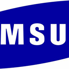 Samsung-BIG-Logo1