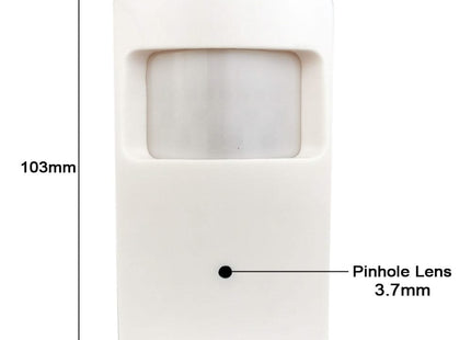 AlarmsysteemExpert.nl Bewegingsmelder IP camera (PIR), Full HD, Onvif, PoE