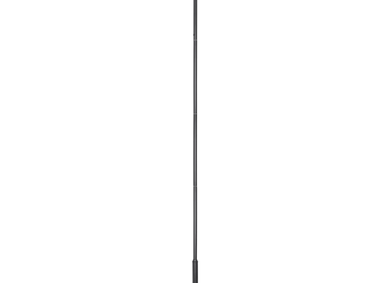 AlarmsysteemExpert.nl Cameramast 6 meter antracietgrijs, Gegalvaniseerd staal, Bliksemafleider