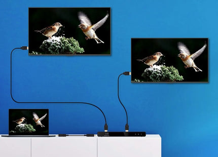 AlarmsysteemExpert.nl HDMI 2-poorts Splitter,  4K 60Hz UHD