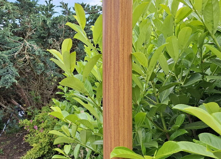 AlarmsysteemExpert.nl Lichte houtstructuur cameramast met kantelanker 4 meter