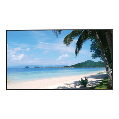 Dahua Dahua LM49-S400 Monitor 4K de 49"