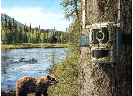 Reolink S130-C, cámara Wildlife de 8 MP y 4K con visualización en directo y tecnología Starlight