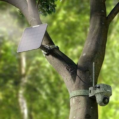 Reolink Telecamera Reolink Wildlife 4K G450 + Pannello solare 4G LTE